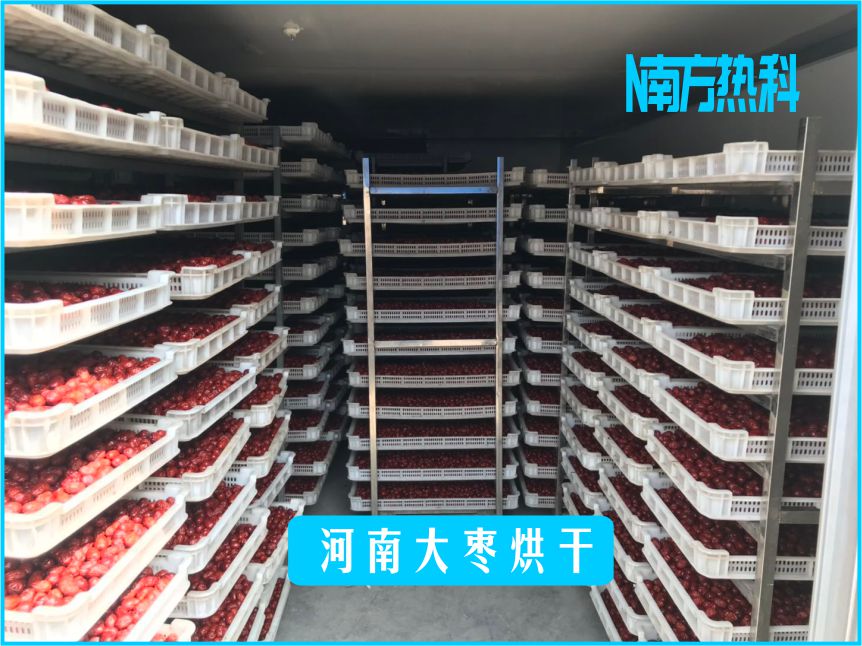 河南大棗烘干(圖2)