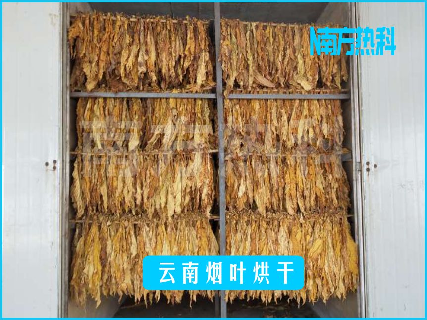 云南煙葉烘干(圖3)