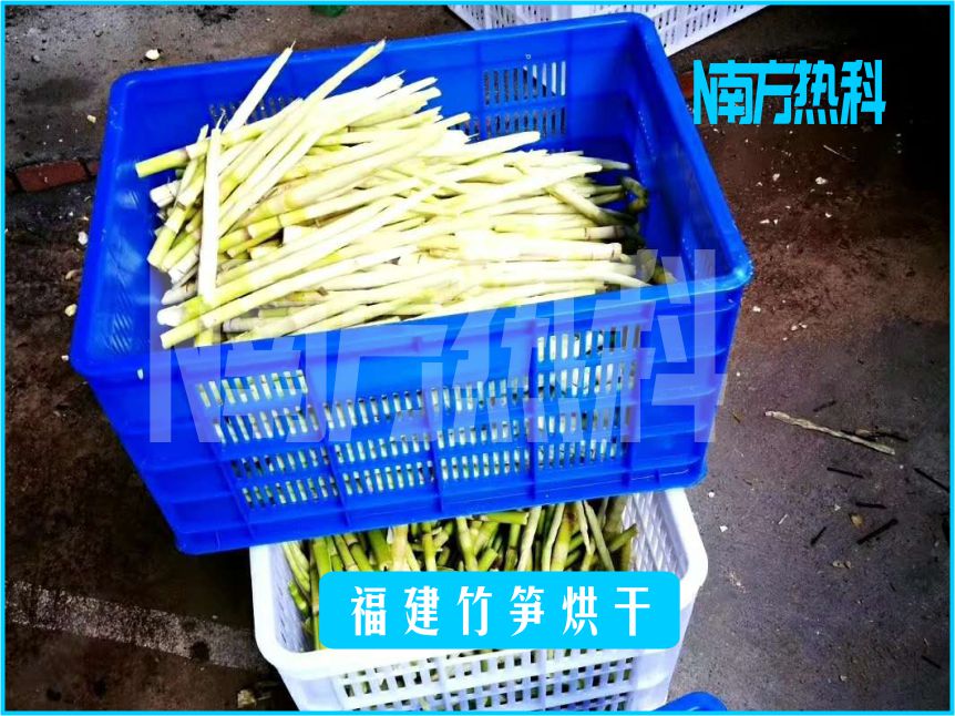 福建竹筍烘干(圖3)