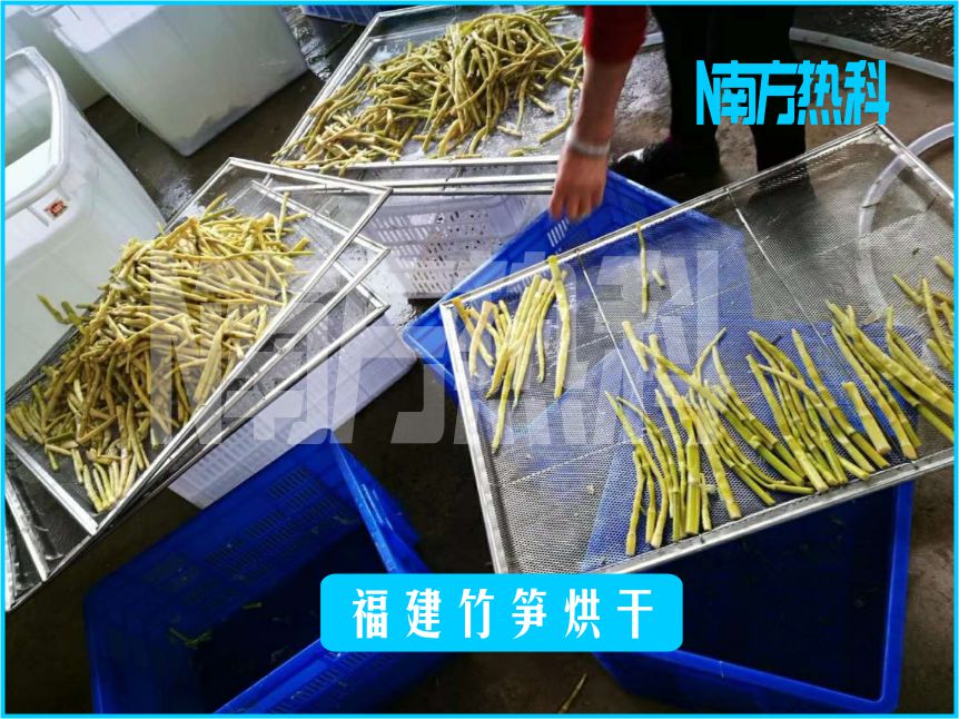 福建竹筍烘干(圖4)