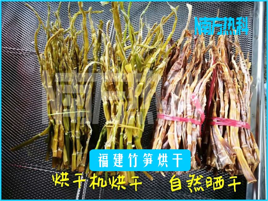 福建竹筍烘干(圖6)