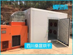桑葚采用空氣能熱泵烘干，節(jié)能省心品質(zhì)佳