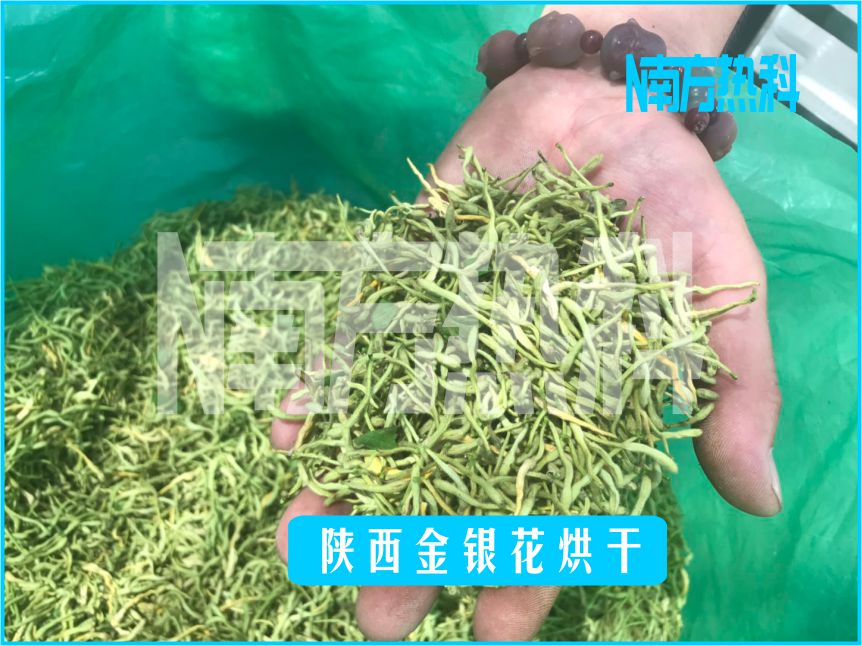 南方熱科金銀花烘干機是金銀花干制時的一款自動化智能化烘干設備